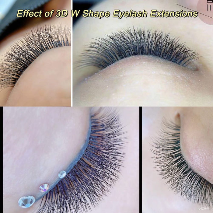 NAGARAKU Automatic Flowering W Shape  Bloom 3D 4D 5D 6D Premade Fans  Eyelash Extensions Natural Soft Light  Full Dense